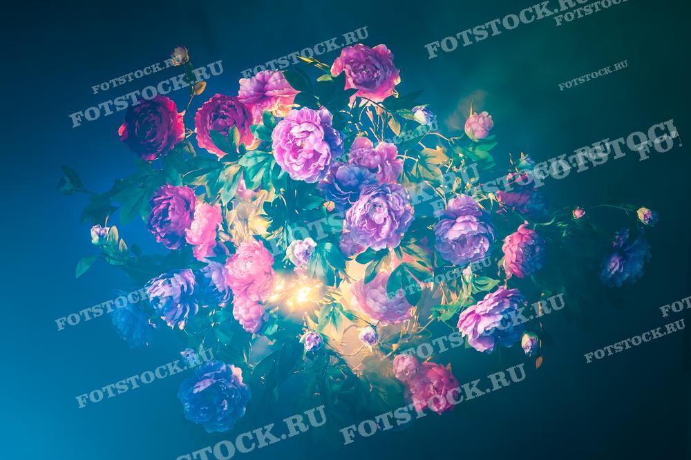 На этой фотографии изображены кусты пионов с цветами разных оттенков розового цвета, от бледного до насыщенного магентового. Они расположены на темно-синем фоне с эффектами света, что создает ощущение глубины и волшебства. Это изображение может использоваться для дизайна веб-сайтов, в качестве иллюстрации в журналах о садоводстве, в рекламных брошюрах цветочных магазинов или как элемент декора в интерьерах.